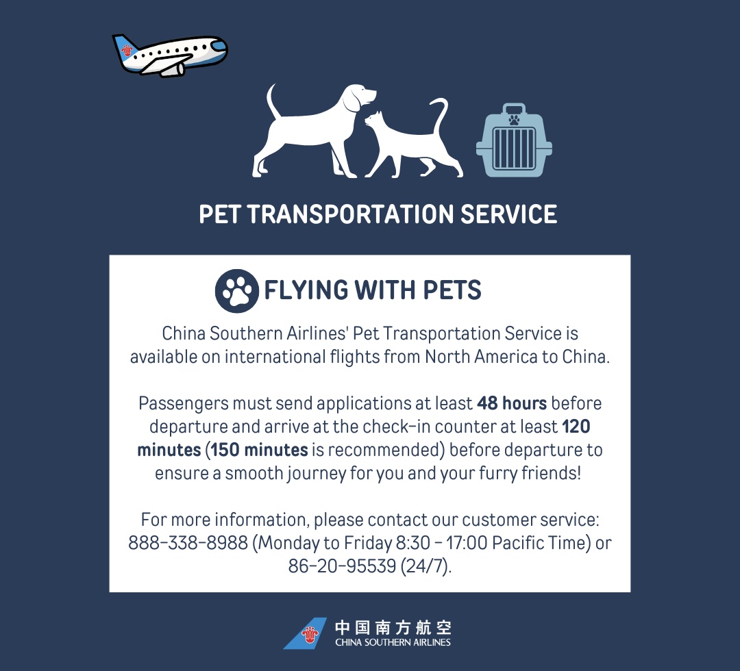 Pet-Friendly Cabin Travel with American Airlines: A Comprehensive Guide to Paws in the Sky